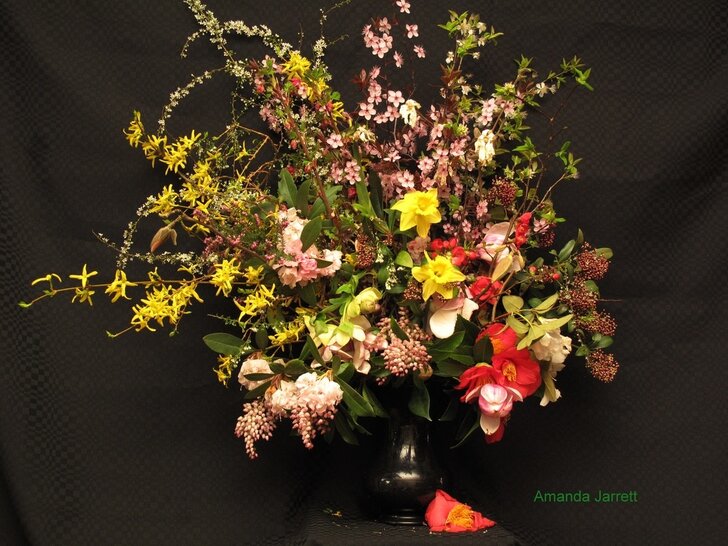March floral arrangement 2018,cut flowers,flower arranging,The Garden Website,Amanda Jarrett,Amanda's Garden Consulting