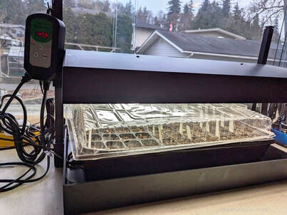 heated propagation mat for seedlings