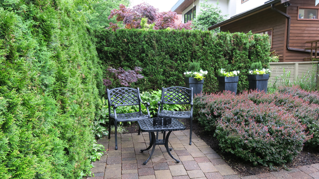 patios for lawn alternatives