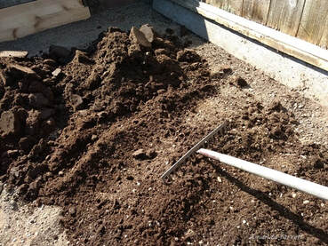 rake in soil compost.