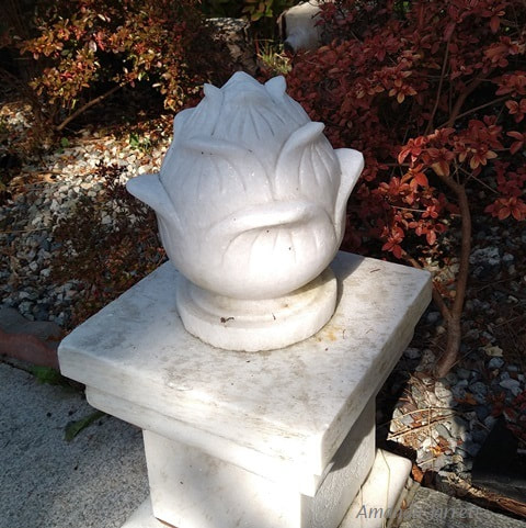 statue lotus 