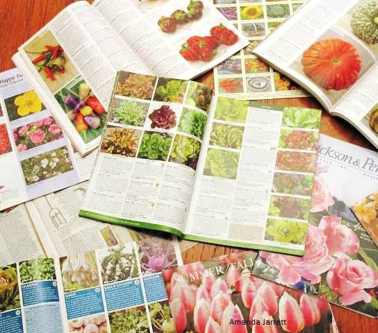 garden catalogues,seed catalogues
