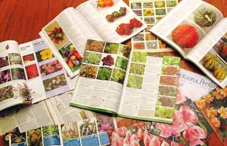 seed catalogues