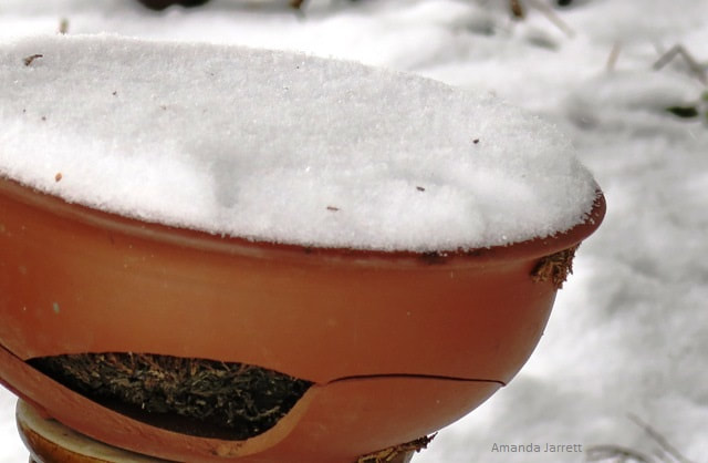 ceramic pots in winter,cracked pots wnter
