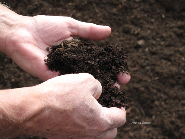 feeding plants,plant food,composting,compost
