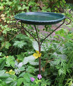 bird friendly gardening,June garden chores,summer gardening,wildlife gardening