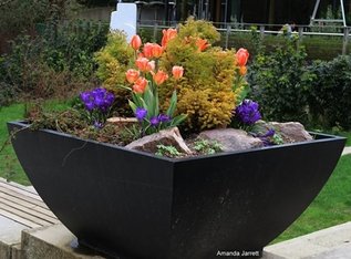 metal planter, container, mixed planting