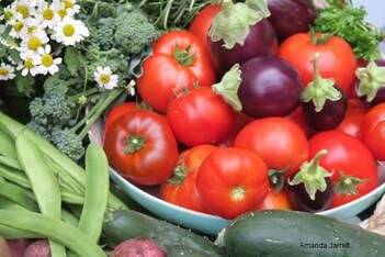 Vegetable Gardening Website: