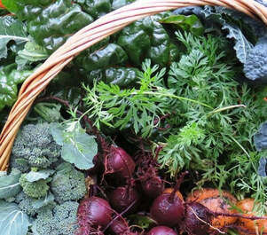 What to do in the vegetable garden in fall. 