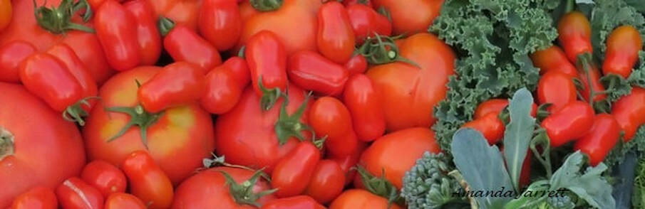 how to grow organic vegetables,growing food,harvesting