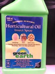horticultural oil organic pest control 