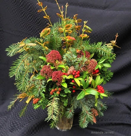 January floral arrangements,January gardening,January plants,dormant pruning,gardening in winter,winter pruning,dormant oil lime sulfur,control of overwintering insects & diseases,topping trees,winter gardening,Canadian seed and plant catalogues,The Garden Website.com,the garden website,Amanda Jarrett,Amanda’s Garden Consulting,landscaping,horticulture