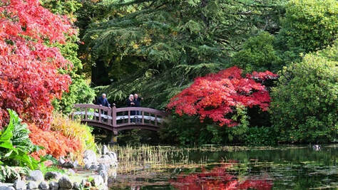 Hatley castle Japanese garden