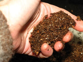 best soil for starting seeds 