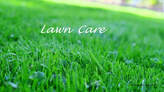 class to learn how to take care of your lawn
