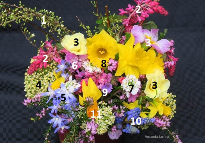 March flowers,flower arrangements,cut flowers,The Garden Website.com,Amanda’s Garden Consulting,Amanda Jarrett