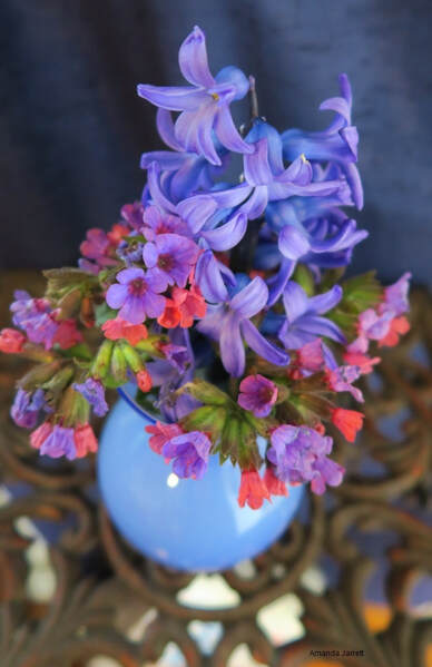 March floral arrangement 2020,cut flowers,flower arranging,The Garden Website,Amanda Jarrett,Amanda's Garden Consulting