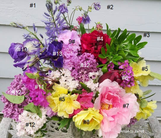 May floral arrangement 2020,cut flowers,flower arranging,The Garden Website,Amanda Jarrett,Amanda's Garden Consulting