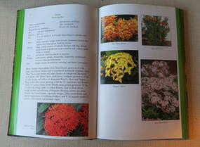Ornamental Tropical Shrubs book,Amanda Jarrett,the garden website.com,Amanda's Garden Consulting