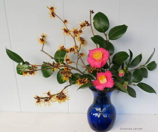 December floral arrangement 2020,cut flowers,flower arranging,The Garden Website,Amanda Jarrett,Amanda's Garden Consulting