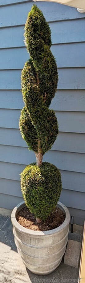 topiary 