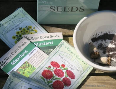 growing seeds outdoors