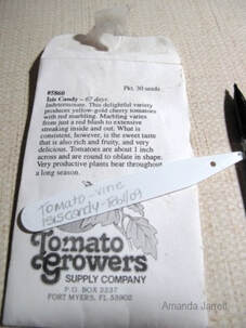how to sow seeds indoors,