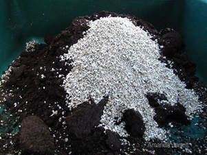 soil mixes for sowing seeds,what soil to pla
