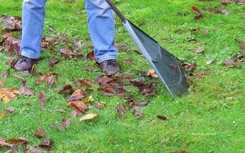 lawn care,turf,October garden calendar,October lawns,the garden website.com,Amanda Jarrett