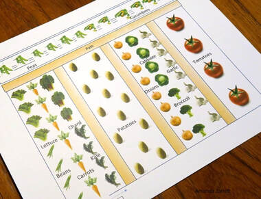 Vegetable gardening to do list in fall.