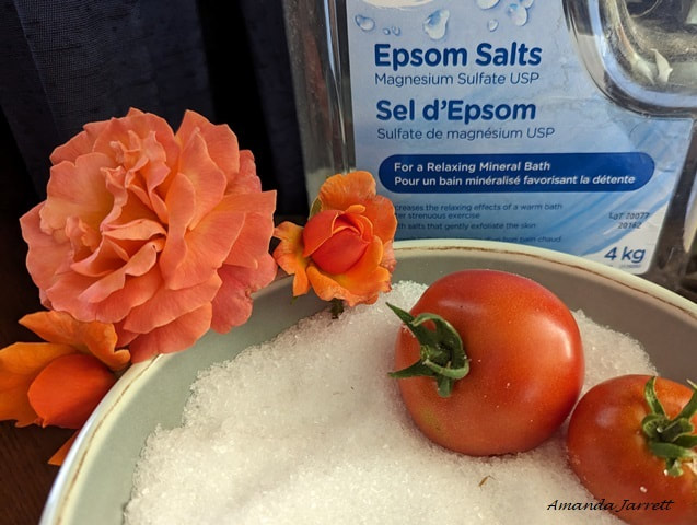 Epsom salts for plants,epsom salts fertilizer
