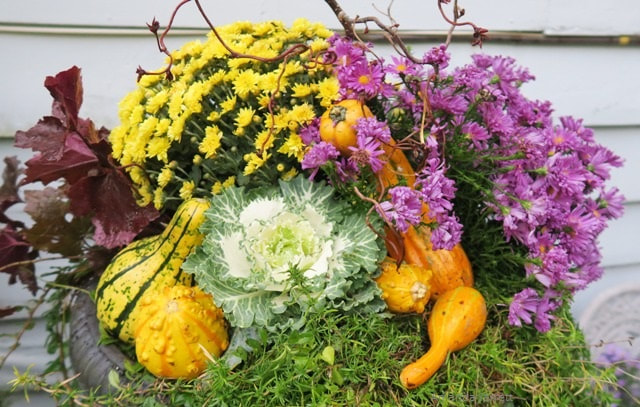 fall planters,autumn planters,seasonal containers,October garden chores