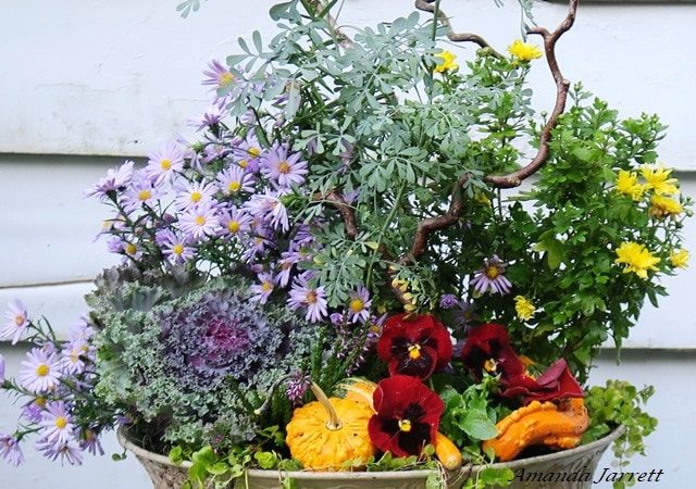 fall planters winter containers