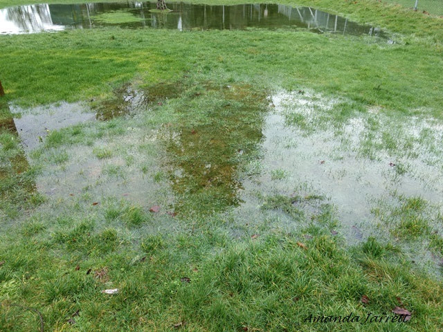 bad drainage,flooding gardens