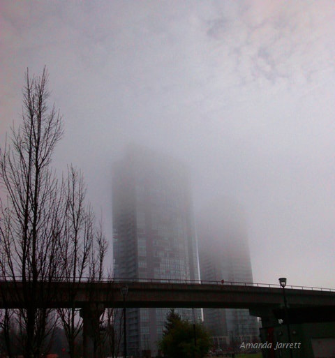 fog,November weather 
