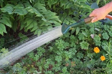 water restrictions for Metro Vancouver