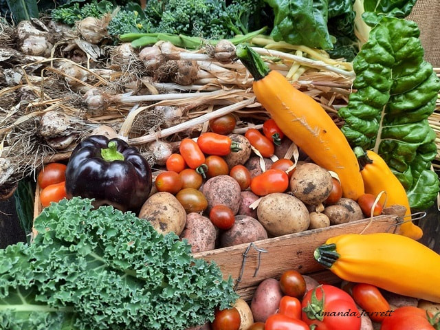how to grow food,vegetable gardening organic