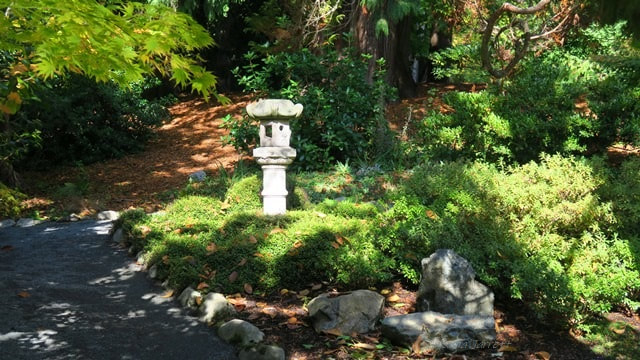pagodas in gardens