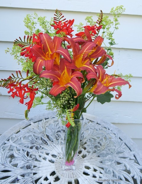 cut flowers,daylilies,hemerocallis