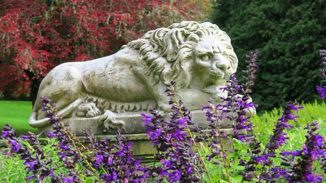 lion statue at Hatley Castle 