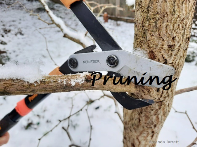 pruning classes