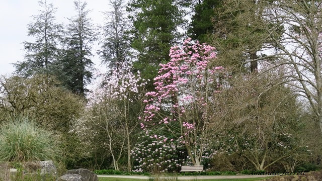VanDususen Botanical Gardens 