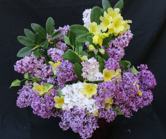 May floral arrangement,May flowers