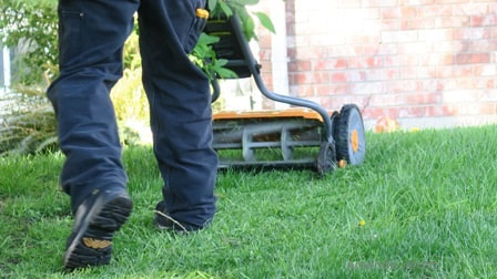 lawn care,spring lawn care,lawn renovations,fertilizing lawns,turfgrass,May garden chores