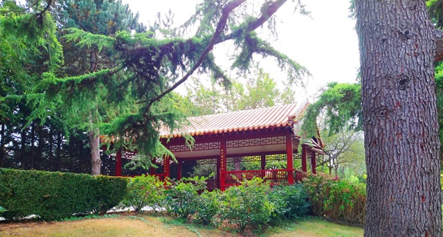 Chinese pavilion 