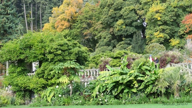 perennial garden Hatley Castle