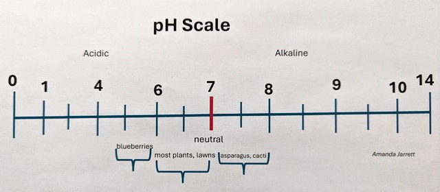 pH scale,acid soil,alkaline soil