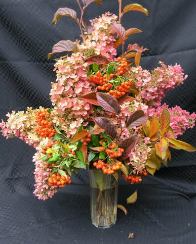 October floral arrangement 2020,cut flowers,flower arranging,The Garden Website,Amanda Jarrett,Amanda's Garden Consulting