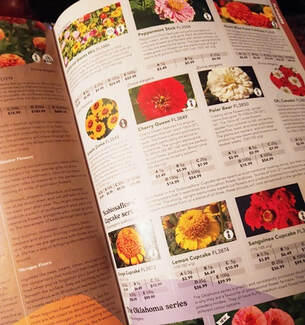 plant catalogues,where to buy seeds