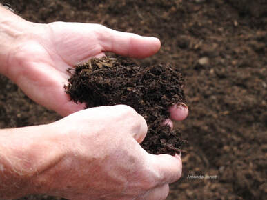 composting,how to compost